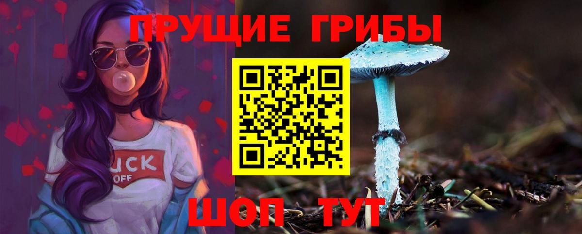 Псилоцибиновые грибы Psilocybe Нягань